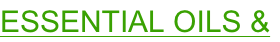 shapeimage_2_link_0